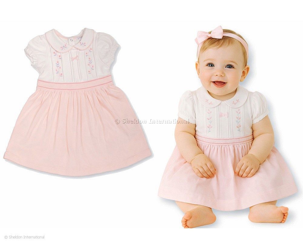 Baby Girls Dress With Floral Embroidery