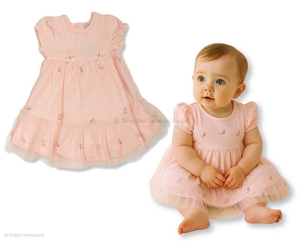 Baby Girls Dress With Floral Embroidery And Mesh