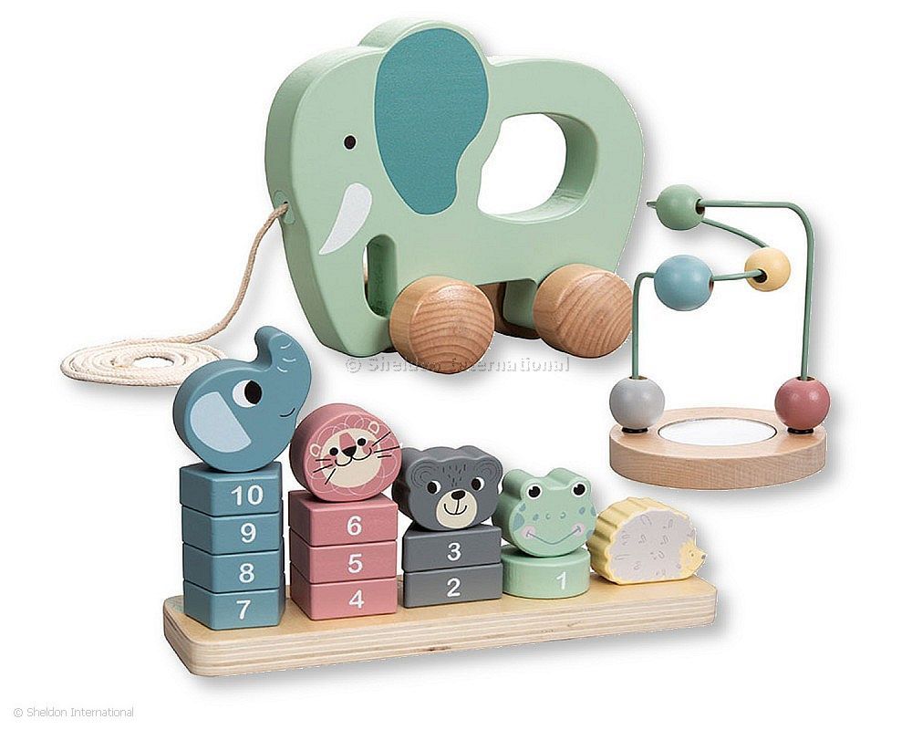 Wooden Educational Toy Trio