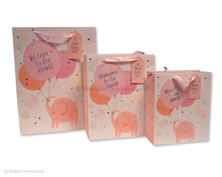 Gift Bag ' a New Baby Girl'