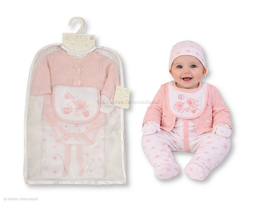 Baby Girls 6 Pcs Layette Gift Set - Bird